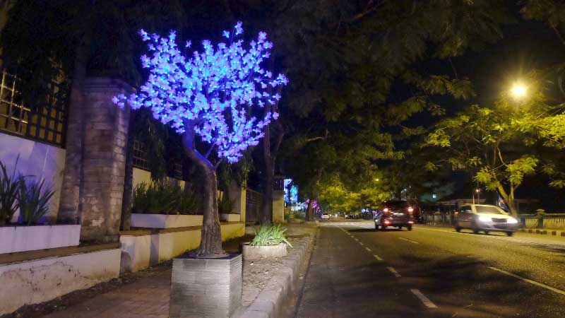 Pohon Lampu Semarakkan Jalanan Kota