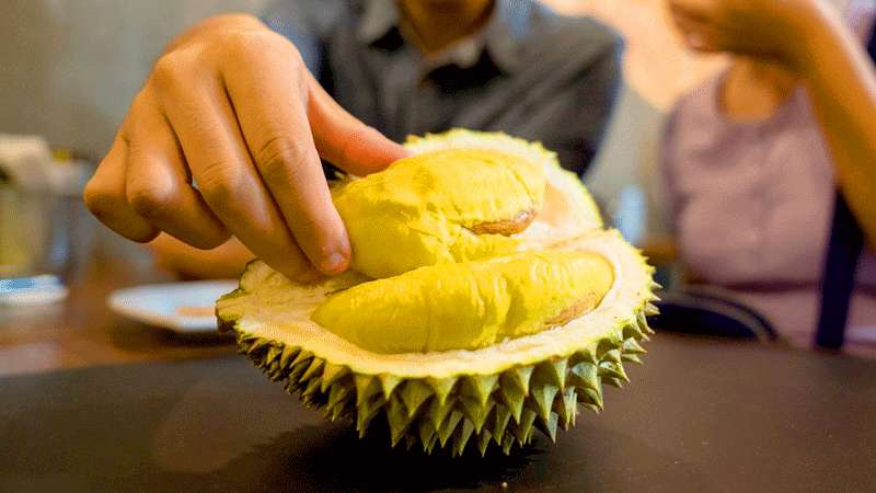 Durian Maut Pembawa Hutang