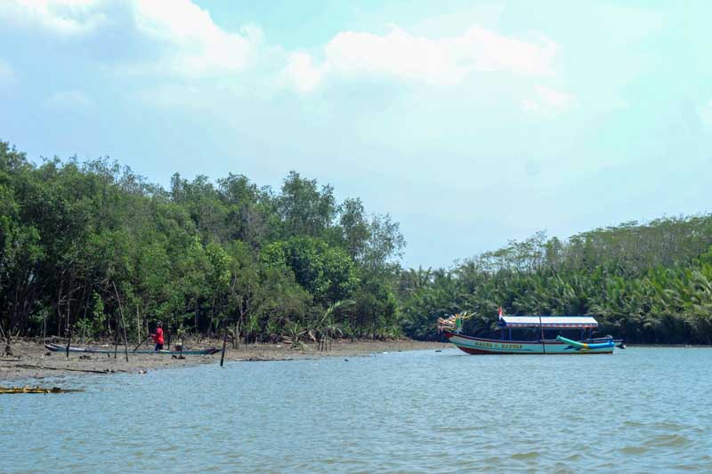 Musim Liburan, Jasa Penyewa Perahu Laris