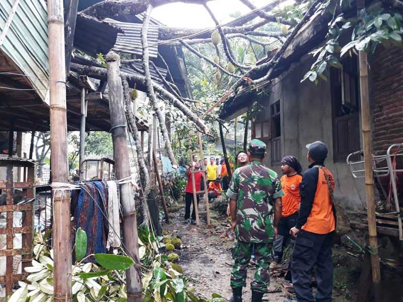 Rumah Pensiunan Guru Tertimpa Pohon Durian