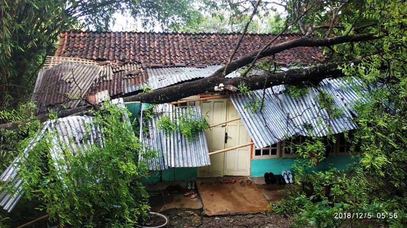 Rumah di Karangjati Rusak Tertimpa Pohon