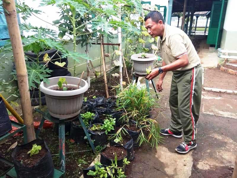 TNI Budidaya Sayuran dengan Polybag