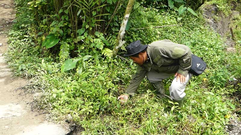 Api Keluar dari Rekahan Tanah