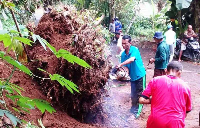 Longsor, Lalulintas Gemuruh - Semampir Sempat Tersendat