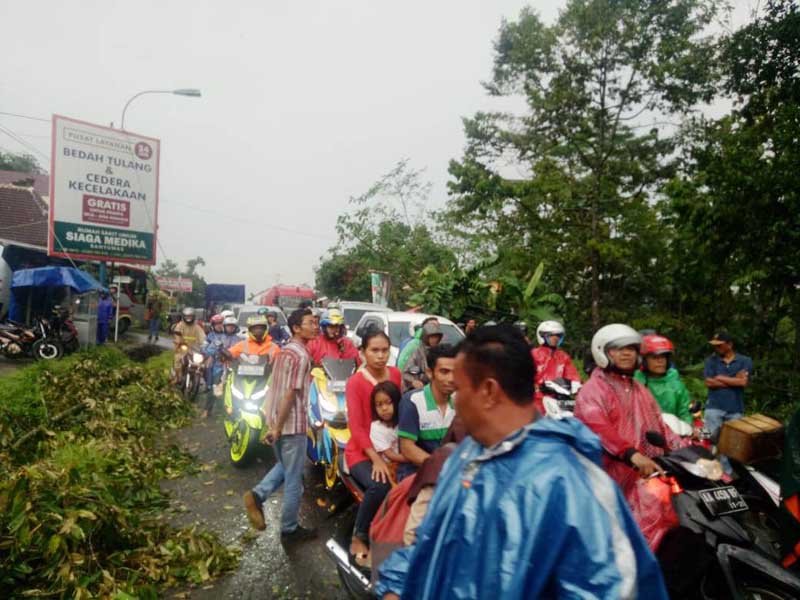 Hujan Es Disertai Angin Tumbangkan Pohon Durian