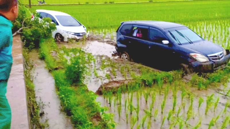 Mobil Avanza Nyemplung Sawah