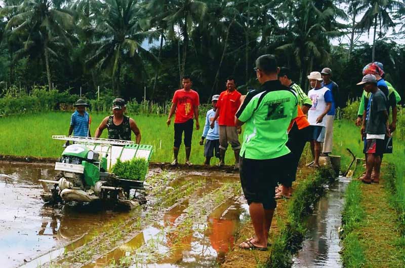 Tenaga Bidang Pertanian Terus Berkurang