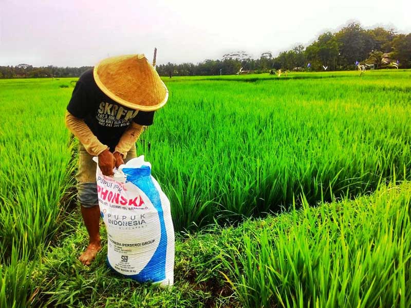 Pupuk Bersubsidi di Dua Kecamatan di Banjarnegara Habis