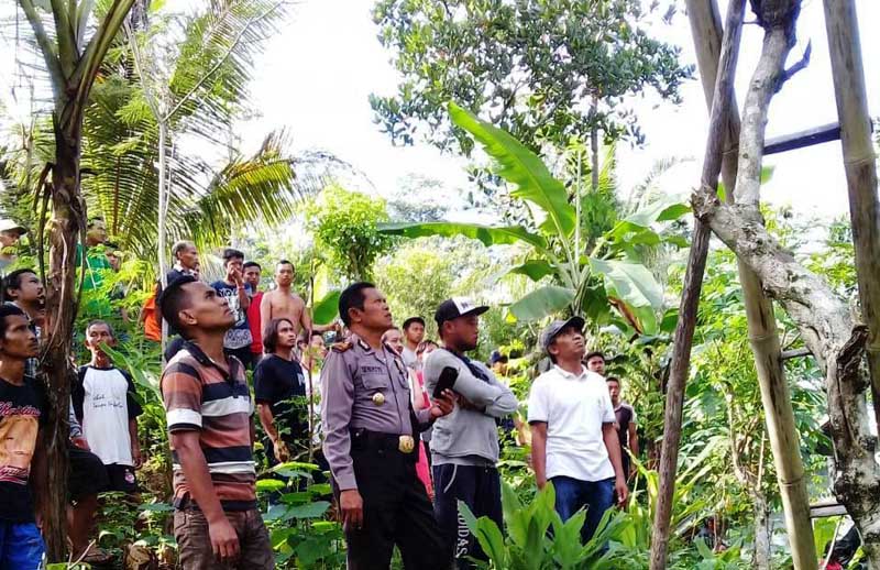 Pangkas Ranting, Warga Tajug Tewas