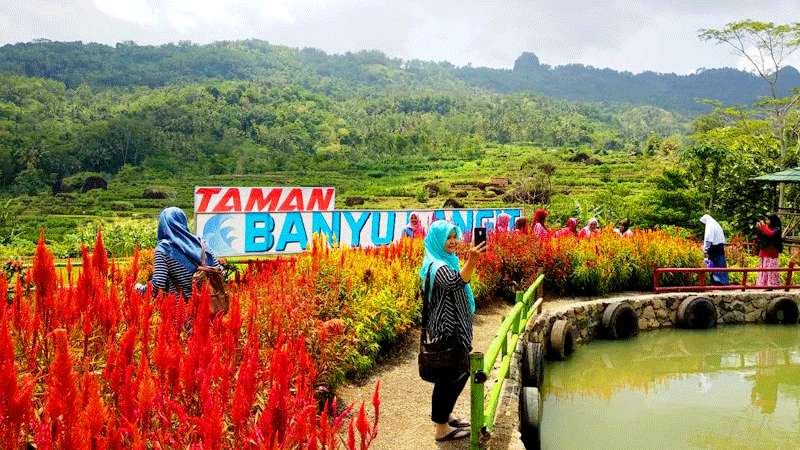 Taman Banyu Langit Pejagoan Kebumen Suguhkan Panorama Bukit Berbunga