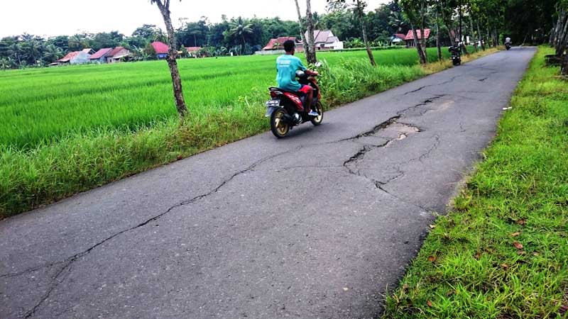 Toyareka - Jetis Retak dan Bergelombang