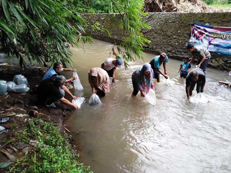 8 Ribu Ikan Ditebar di Sungai Gringsing