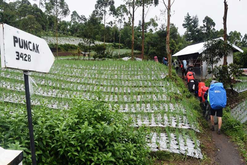 Pendakian Gunung Slamet Kembali Dibuka