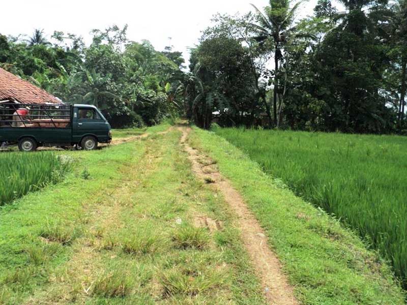 Rute Jalur KA ke Wonosobo Batal Lewat Bandara