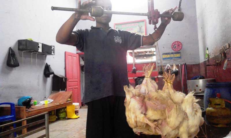Harga Ayam Potong Naik Rp 5.000