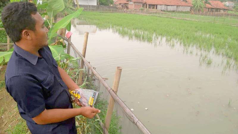 Pemuda Kebulusan, Kembangkan Mina Padi