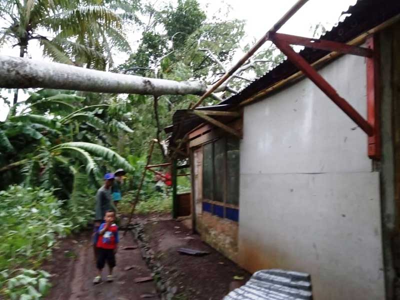 Tertimpa Pohon, Satu Rumah Rusak