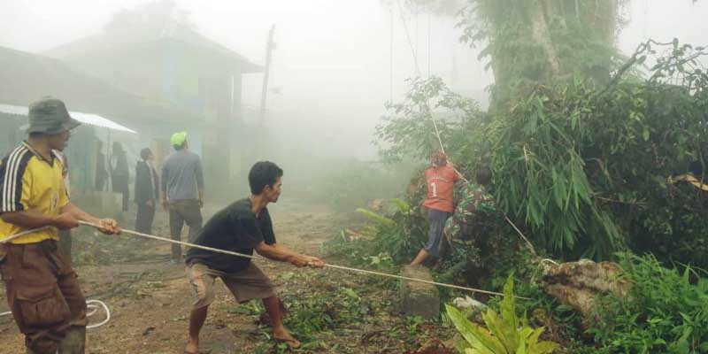 Beringin Berumur 100 Tahun Bahayakan Warga