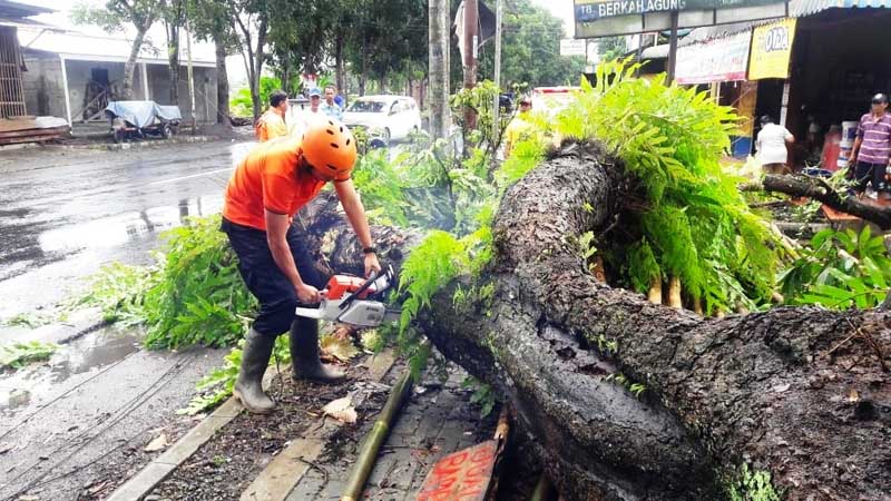 Hujan Angin, 2 Rumah Rusak dan Pohon Tumbang