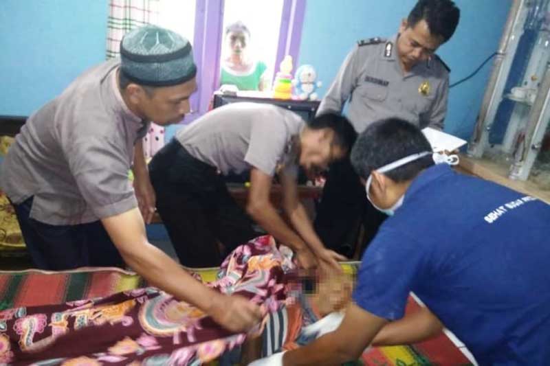 Warga Tewas Tertimpa Pohon Albasia