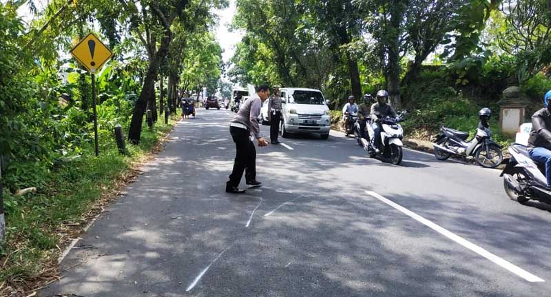 Tabrak Pohon, Satu Orang Meninggal Dunia