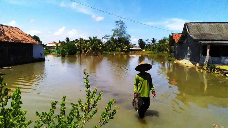 Segara Anakan Dangkal, Nelayan beralih Jadi Petani