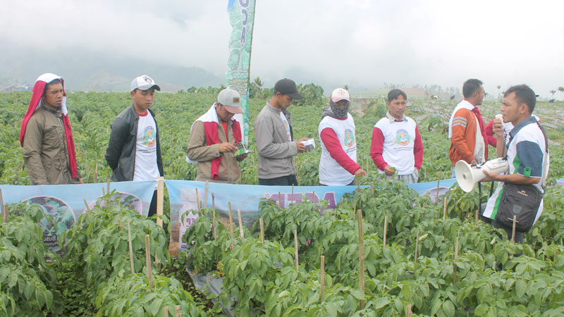 Advansia Beri Solusi Bagi Petani