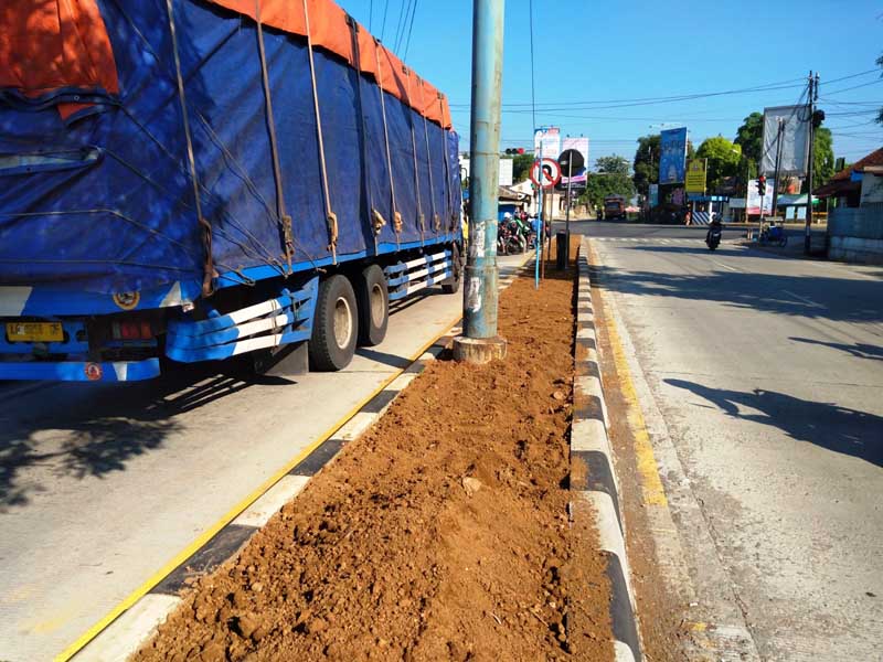 Kurang Subur, DLH Ganti Tanaman Median