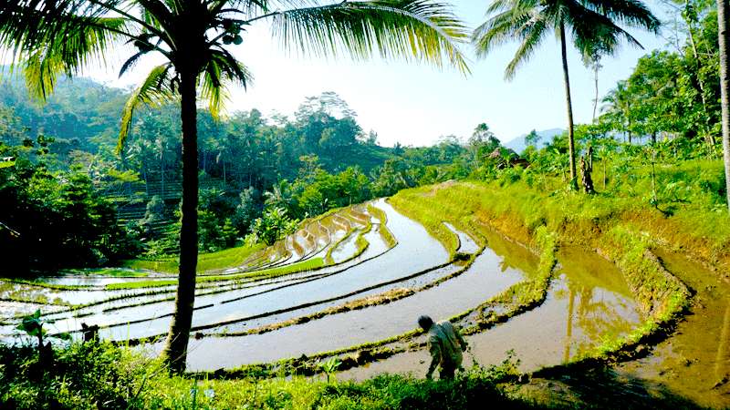 Masyarakat Butuh Sosialisasi Tentang Geopark