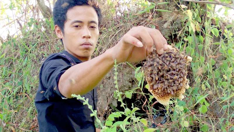 Ngabuburit Ekstrem Ala Peternak Lebah di Kebumen
