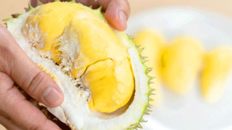 Ratusan Orang Dievakuasi Karena Durian