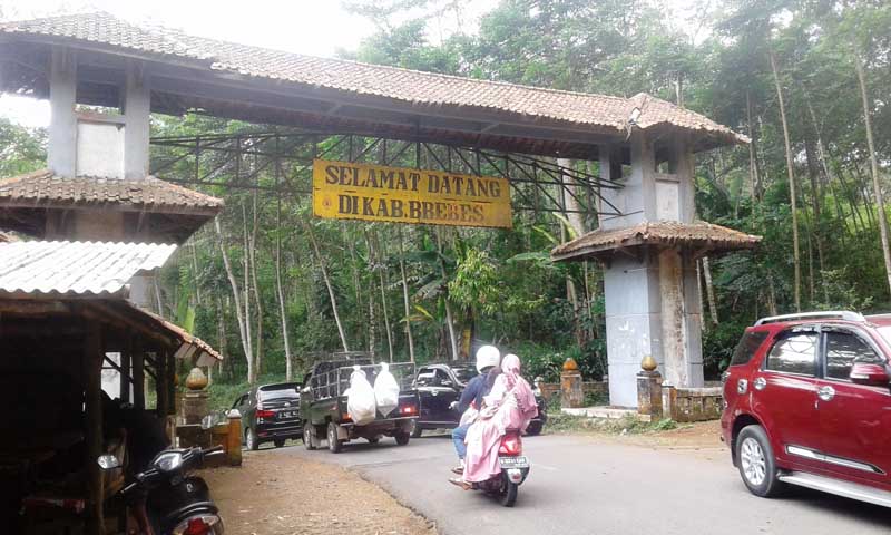 Andalkan Apilkasi, Banyak Pemudik Nyasar