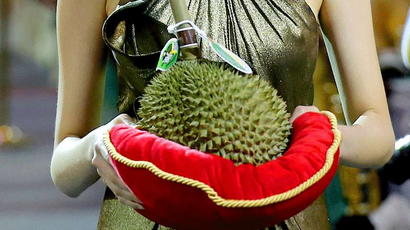 Durian Termahal Terjual Rp682 Juta