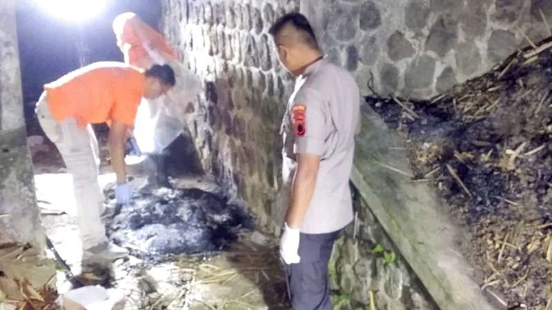 Diidentifikasi dari Sampel Tulang
