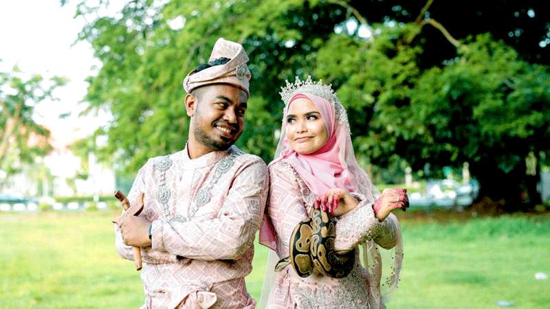 Foto Wedding dengan Ular Phyton