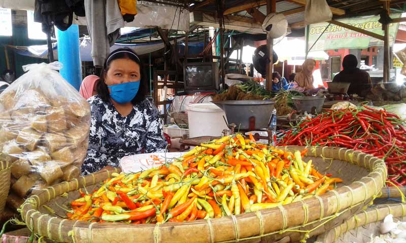 Harga Cabai Tembus Rp 70 Ribu/Kilogram