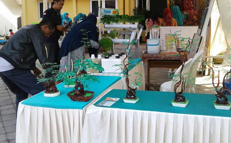 Bonsai Plastik Mulai Diboomingkan