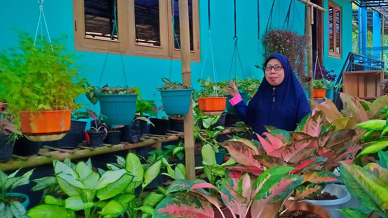 Sri Endah Harti, Tanaman Hias Dari Hobi jadi Bisnis