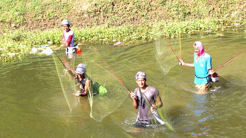 Warga Tangkap Ikan dengan 