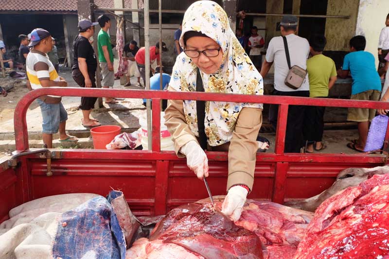 Penemuan Cacing Hati Pada Hewan Kurban Terus Ditemukan Berulang