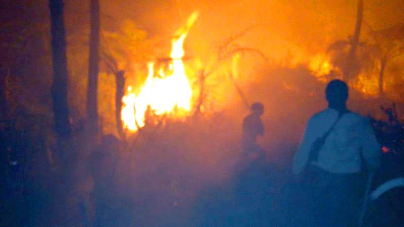 Hutan Lestari  Wanayasa Terbakar