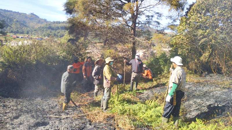 Hutan di Kawah Sikidang Terbakar