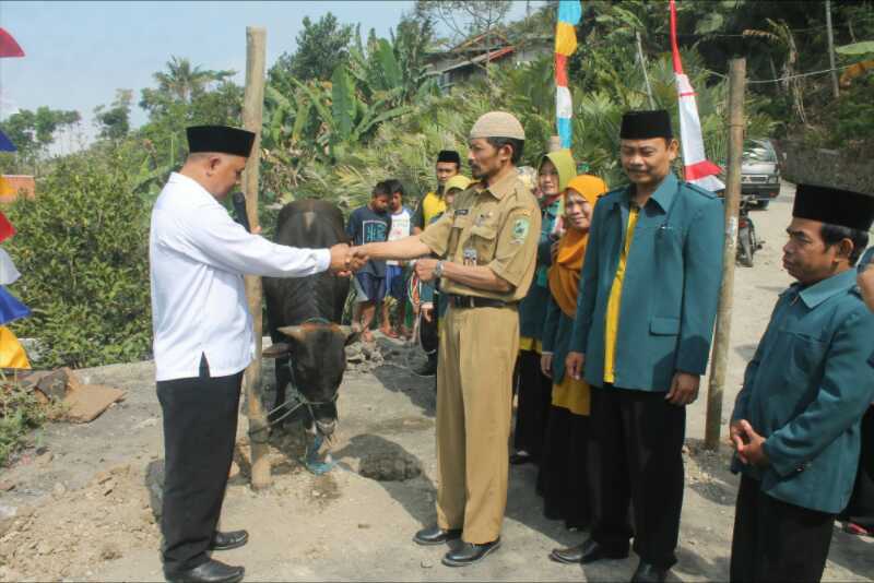 Pokjaluh Kemenag Salurkan Hewan Qurban