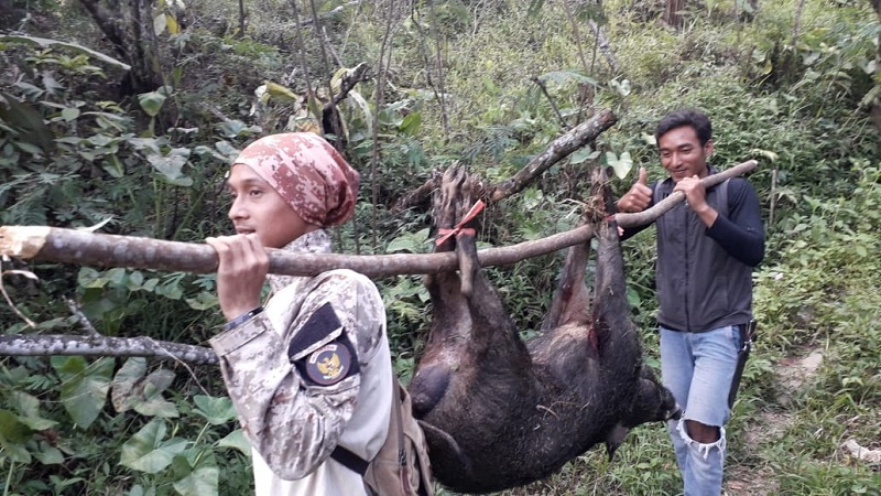 Babi dan Monyet Serang Lahan Warga Wanayasa