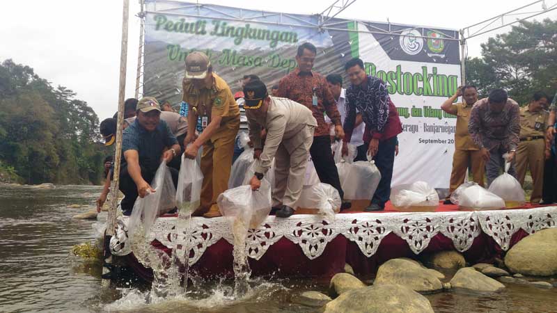 Lestarikan Ikan Endemik, Bupati Lakukan Restocking