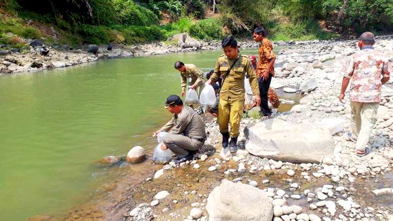 14 Warga Kalilunjar Ketangkap Basah Racuni Ikan