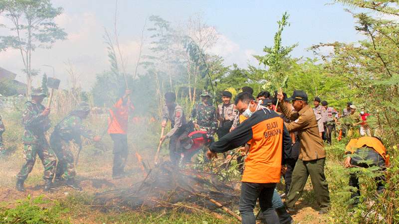 Hutan di Lima Wilayah Terbakar