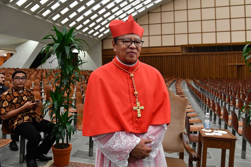 Paus Angkat Kardinal Baru dari Indonesia