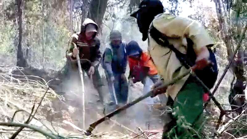 Kebakaran Susulan Ancam Gunung Petarangan