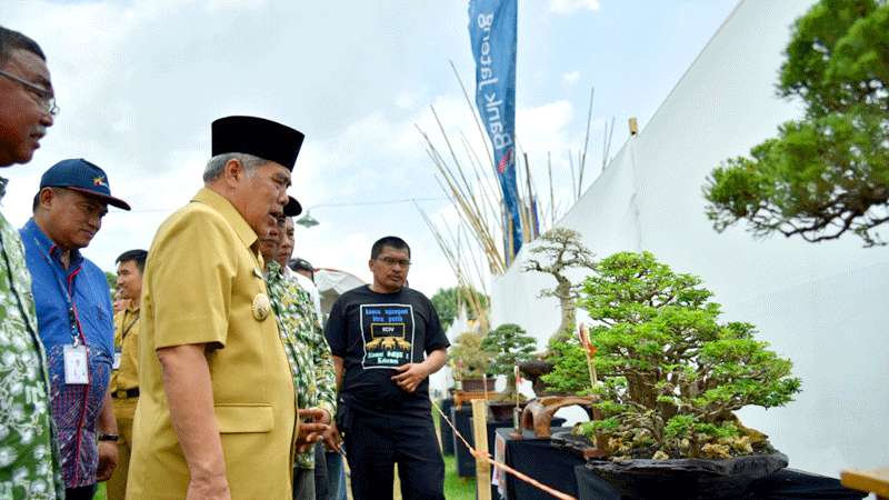 Ratusan Bonsai dan Suiseki Dipamerkan di Alun-alun Kebumen
